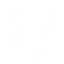 Чистая ярость