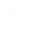 Эфирный выпад